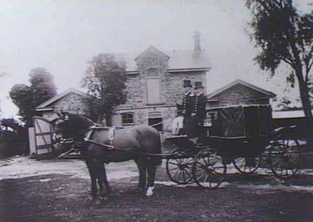 photo of horse and cart
